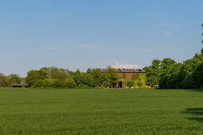 Steinbeck in der Gutsscheune Thorstorf