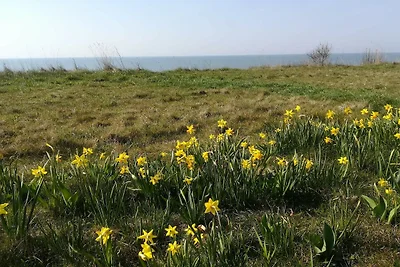 6 Personen Ferienhaus in Gedser