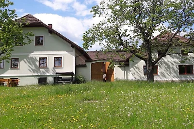 Auf dem Biobauernhof Mayerhofer