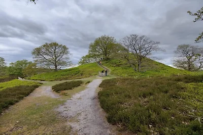 8 Personen Ferienhaus in Gjern-By Traum