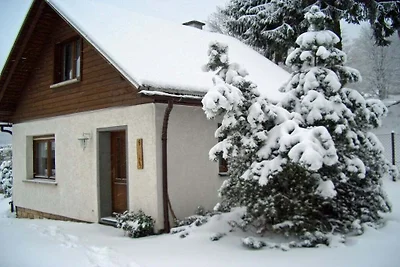 Ferienhaus in Stützerbach mit Wifi
