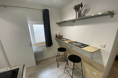 Wohnung am linken Ufer von Toulouse