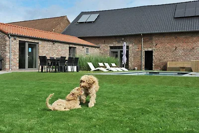 Ferienhaus in Vlaanderen f�r 3 Personen
