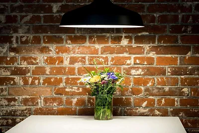 4 persoons vakantieparkhuis in Give