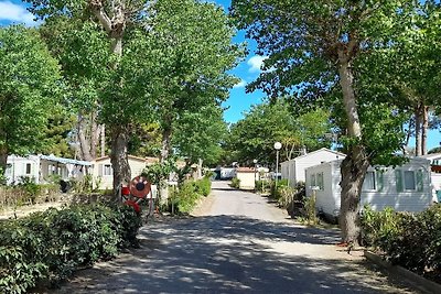Freundlicher Campingplatz in der Nähe des bel...
