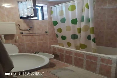 Two Bedroom Apartment With Terrace (A4)