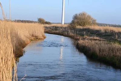 6 Personen Ferienhaus in Ringkøbing-By Traum