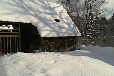 Casa vacanze a Nejdek con giardino