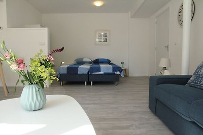 Mooi appartement in Schoorl vlakbij strand