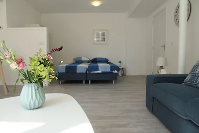 Schöne Wohnung in Schoorl in Strandnähe