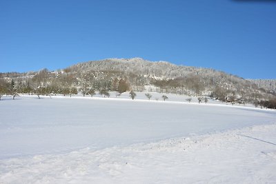 Gemütliches Chalet mit Garten in Malá Skála