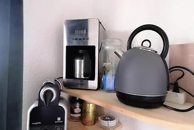 Ferienhaus an den Pisten mit Skizugang