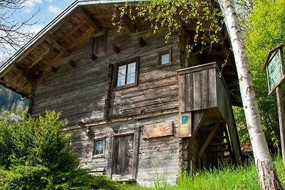 Wooden Apartment in Hainzenberg near Ski Bus