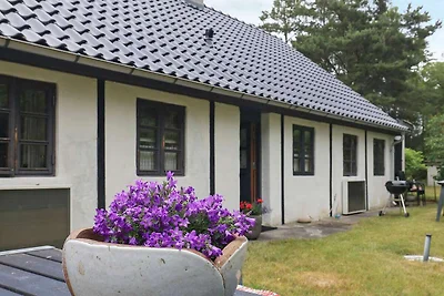 6 persone case ad Læsø-By Traum