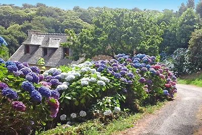 Esterno casa vacanze (estate) Esterno casa vacanze (estate)