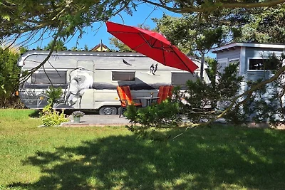 Ferienhaus Kranich