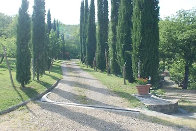Villa in Poppi mit Schwimmbecken
