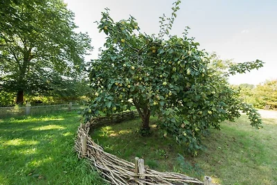Ute von Lingelsheim