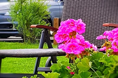 3 im Ferienhaus Linder