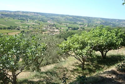 Maison de vacances ensoleillée en Provence