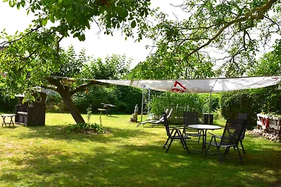 Appartement in Strandnähe