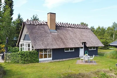 6 Personen Ferienhaus in Væggerløse-By Traum