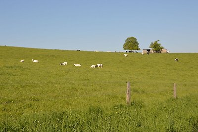 In de regio (zomer) (>5 km)