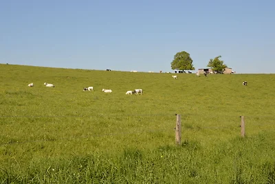 Ferienhaus in Houffalize mit Garten
