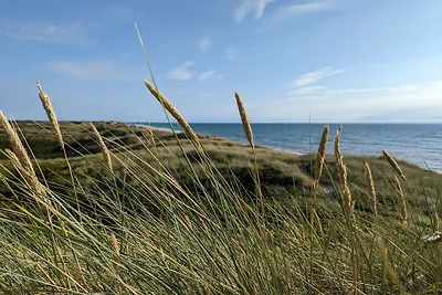 4 persone case ad Ulfborg-By Traum