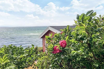 4 Personen Ferienhaus in Martofte