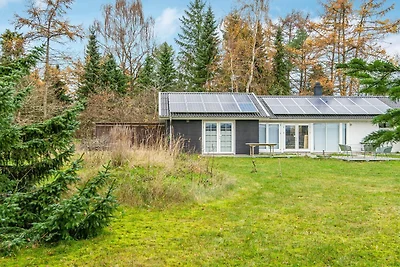 6 Personen Ferienhaus in Silkeborg-By Traum