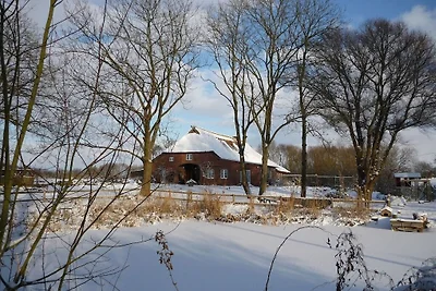 Op de Maurinenhof Mozart "Stepenitz"