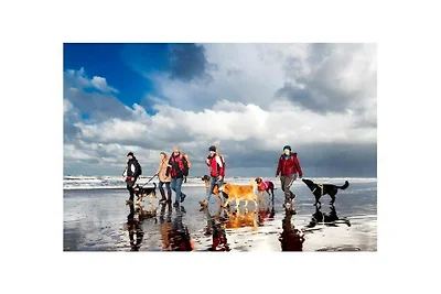 Hütte in Noordwijk mit Schwimmbecken