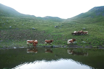 Appartamento per le vacanze con 1 camera da...