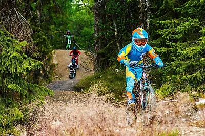 8 Personen Ferienhaus in LOFSDALEN