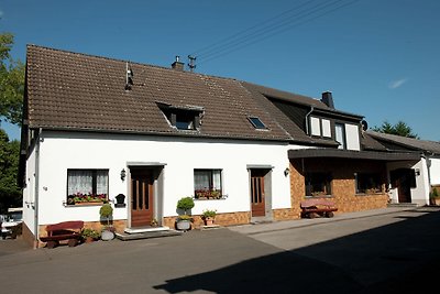 Modernes Ferienhaus in Hellenthal mit Sauna