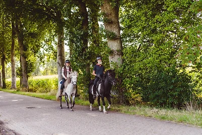 Rustig verblijf in Drenthe