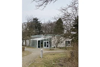 Bernsteinbeobachter||