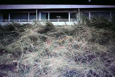 Schätzchen am Meer