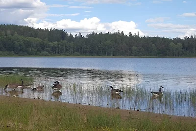 8 Personen Ferienhaus in Mörlunda-By Traum