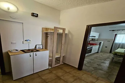 Geräumige Wohnung in Tribunj
