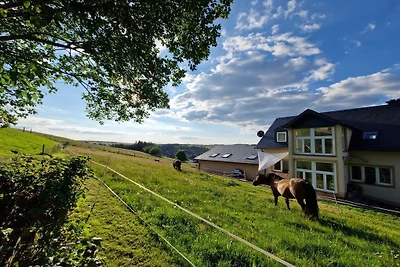 Ferienhaus Schilz II