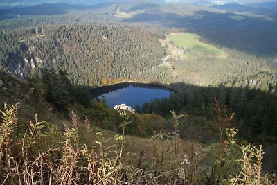 Dom w naturze - widok na Feldberg
