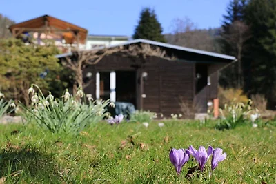 Ferienhaus mit 2 Schlafzimmer