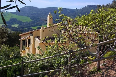 Gemütliches Ferienhaus mit privatem Pool