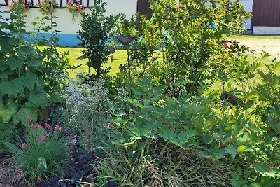 Gezellig vakantiehuis in Schleithal met tuin