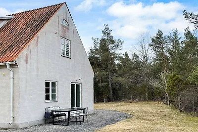 5 Sterne Ferienhaus in Lärbro