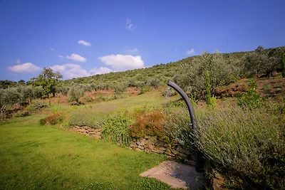 Lussuosa villa con piscina a Cortona
