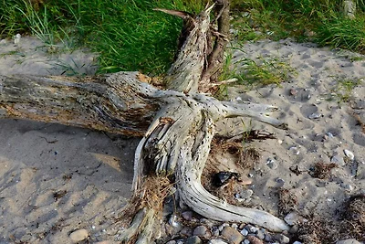 Modernes Refugium am Strand -- By Traum...