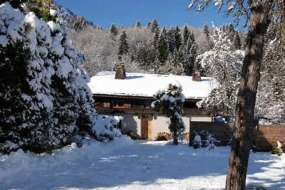 Traditionelles Chalet mit Bergblick